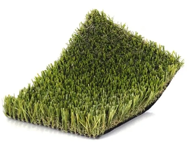 forte Forte - Image 1