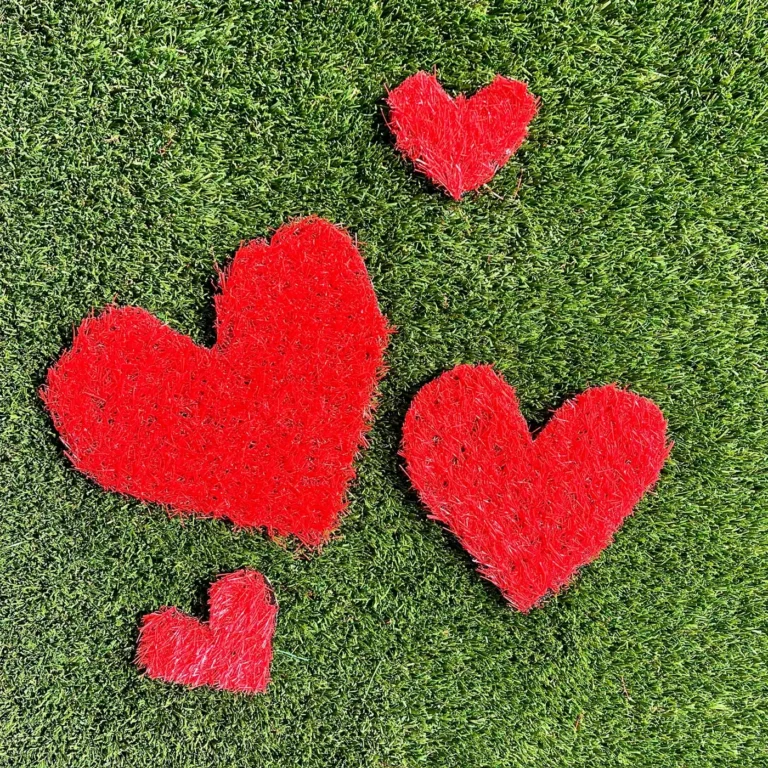 Hearts — Custom Logos artificial turf by Rioturf Valley